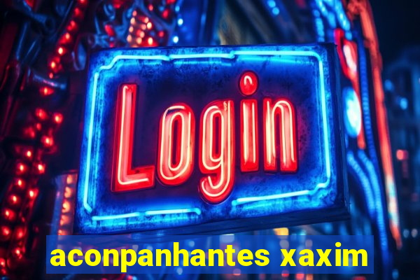 aconpanhantes xaxim